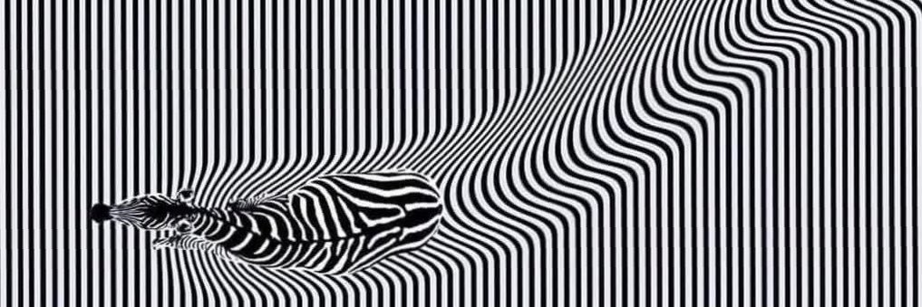 Lucianomvasquez's profile banner image