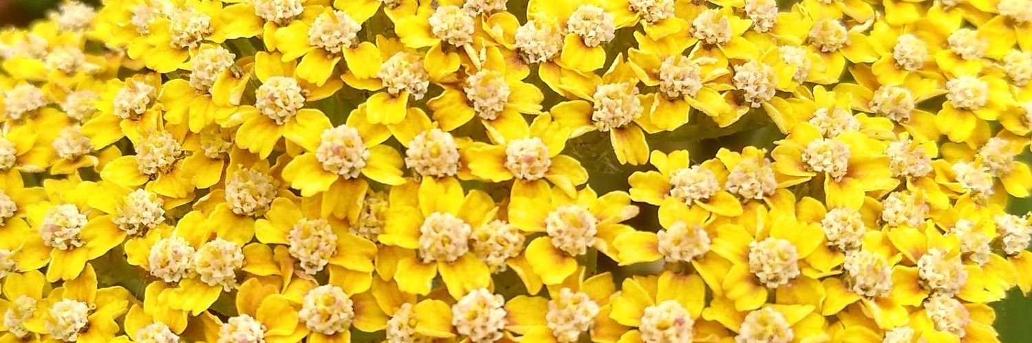 GFSpiers's profile banner image