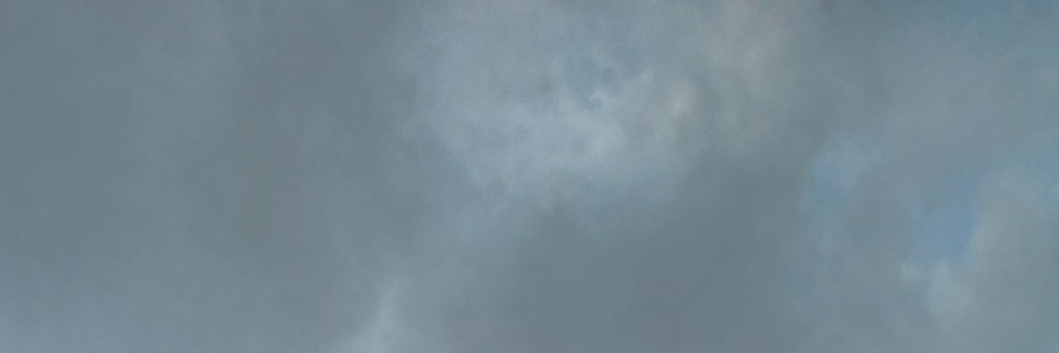 nesxdan's profile banner image