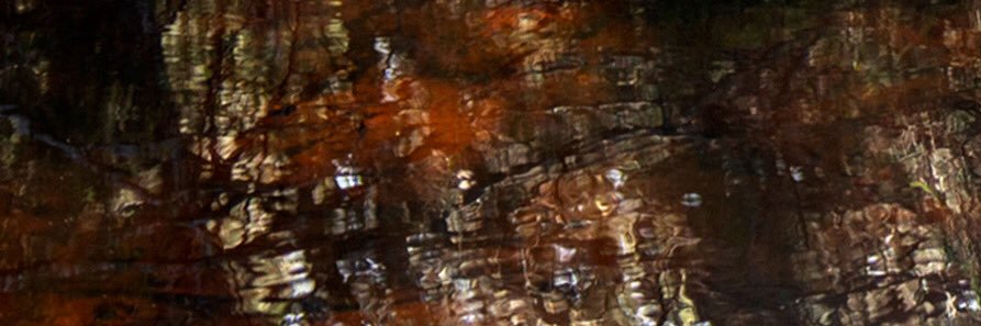ADAddariophoto's profile banner image