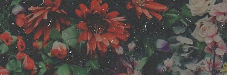 Ellllaaa__'s profile banner image