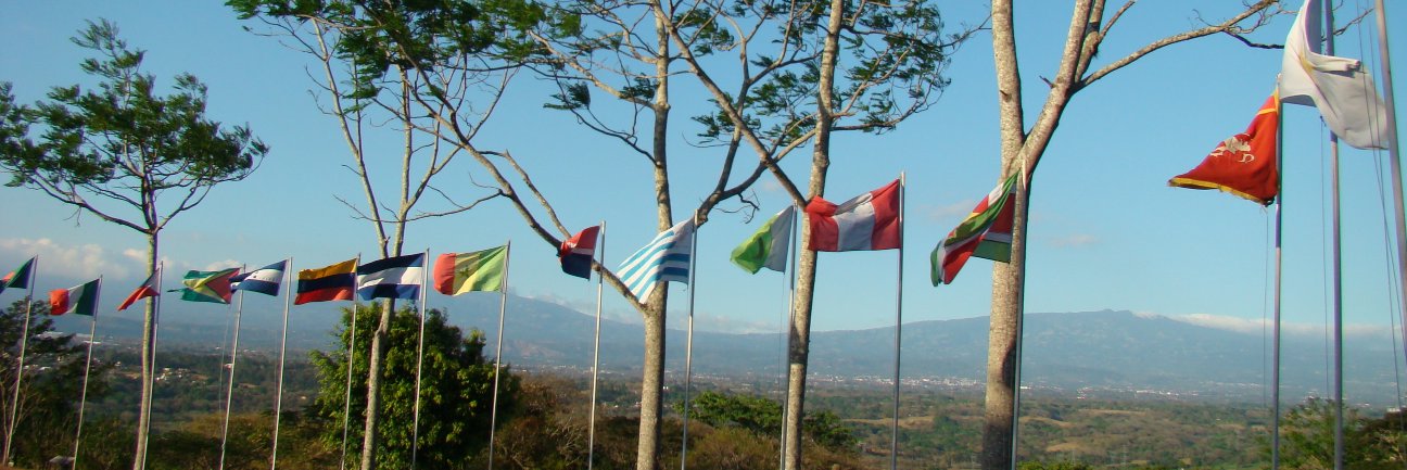 UPEACEAdmission's profile banner image