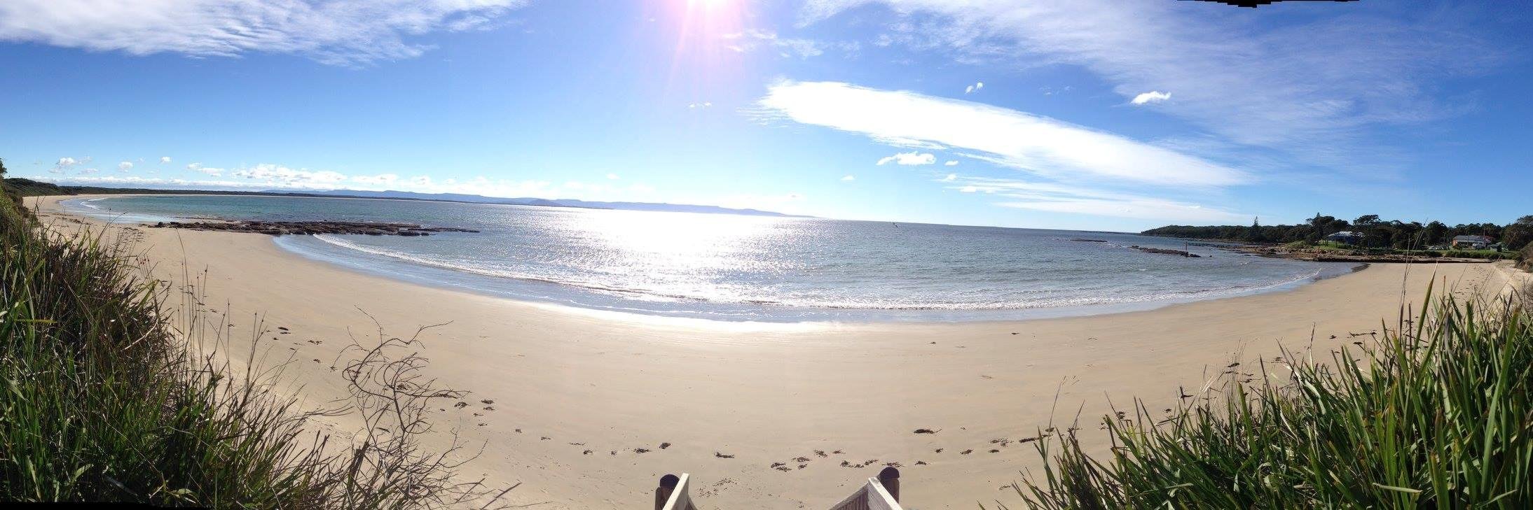 Nicole Thorpe banner