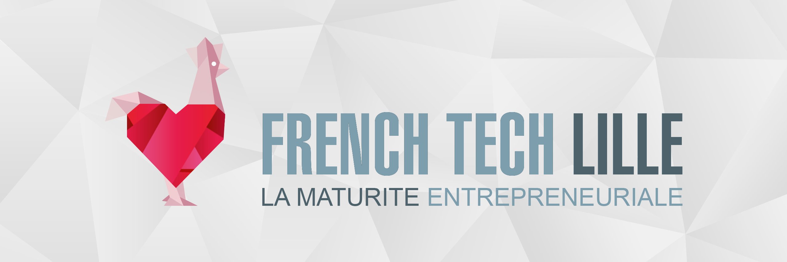 FrenchTechLille_Backup banner