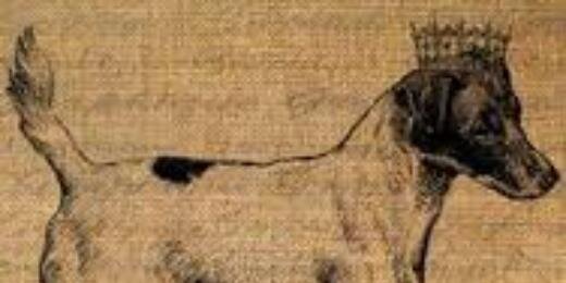ElloreeTheJRT's profile banner image