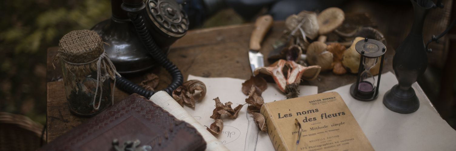 Laureline 🌿 banner