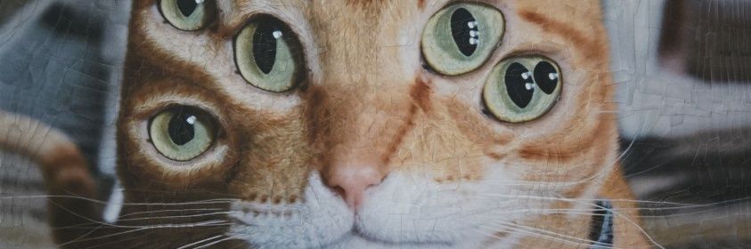 ApAfdhal's profile banner image