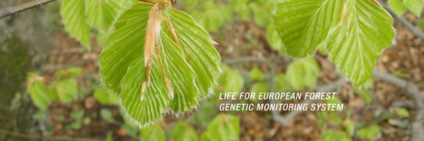 LIFEGENMON Profile Banner