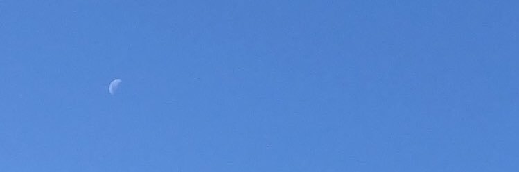 vimachiti's profile banner image
