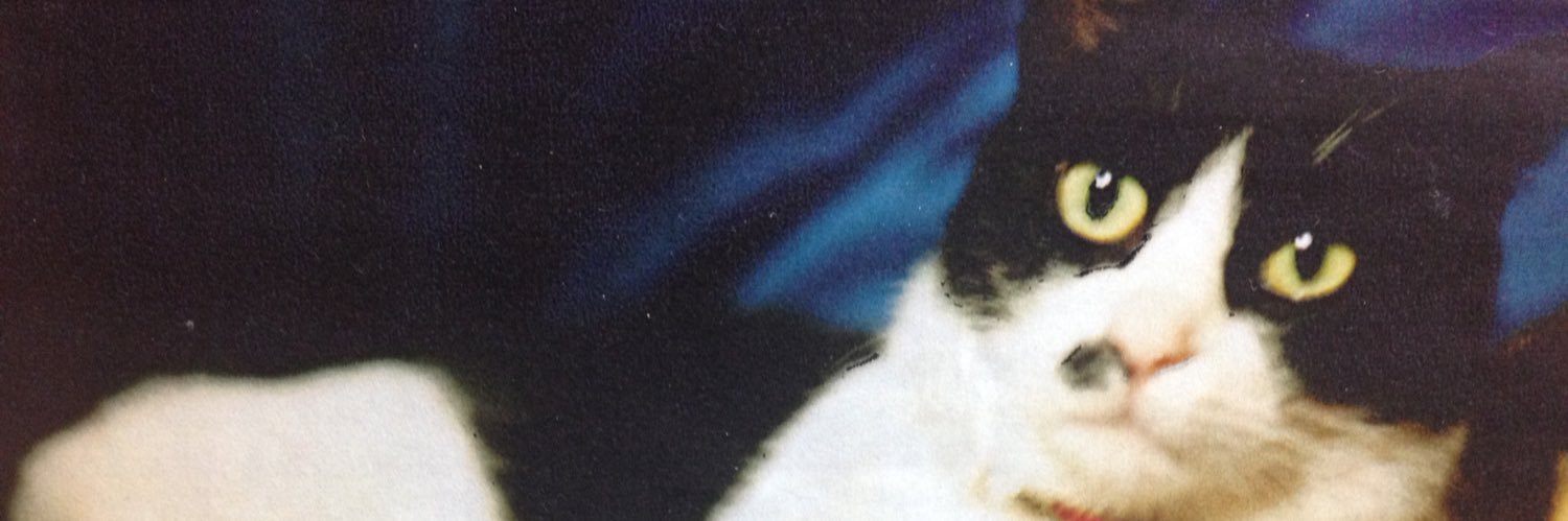 mugithecat's profile banner image