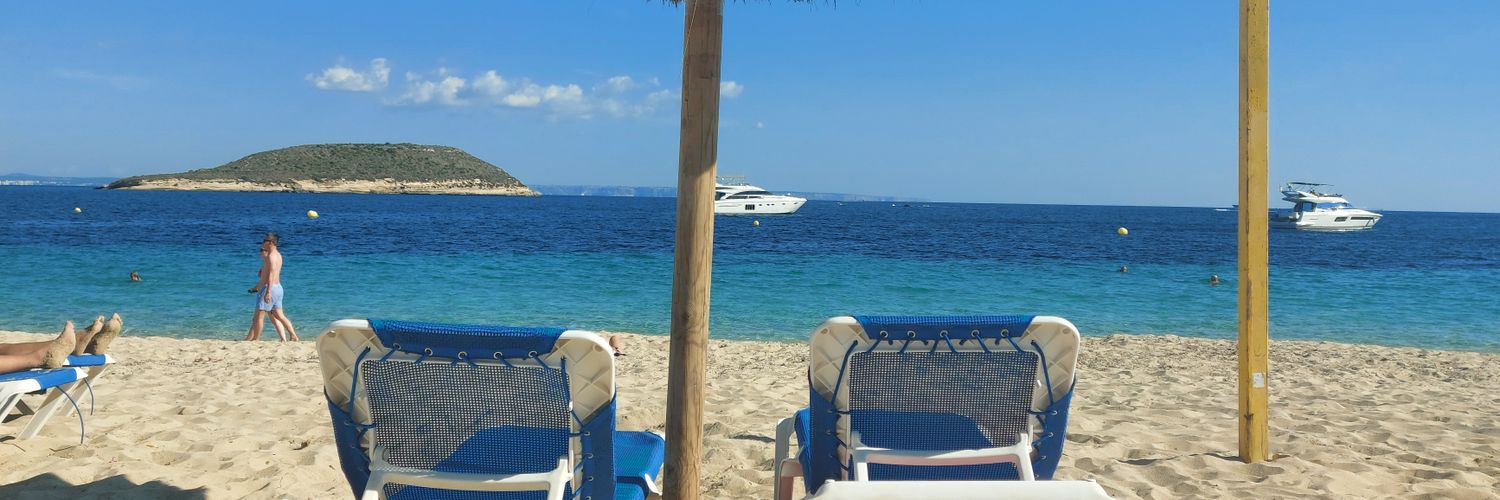 Ricky Nicholl banner