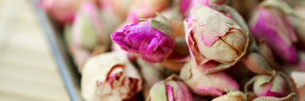 aymond Profile Banner