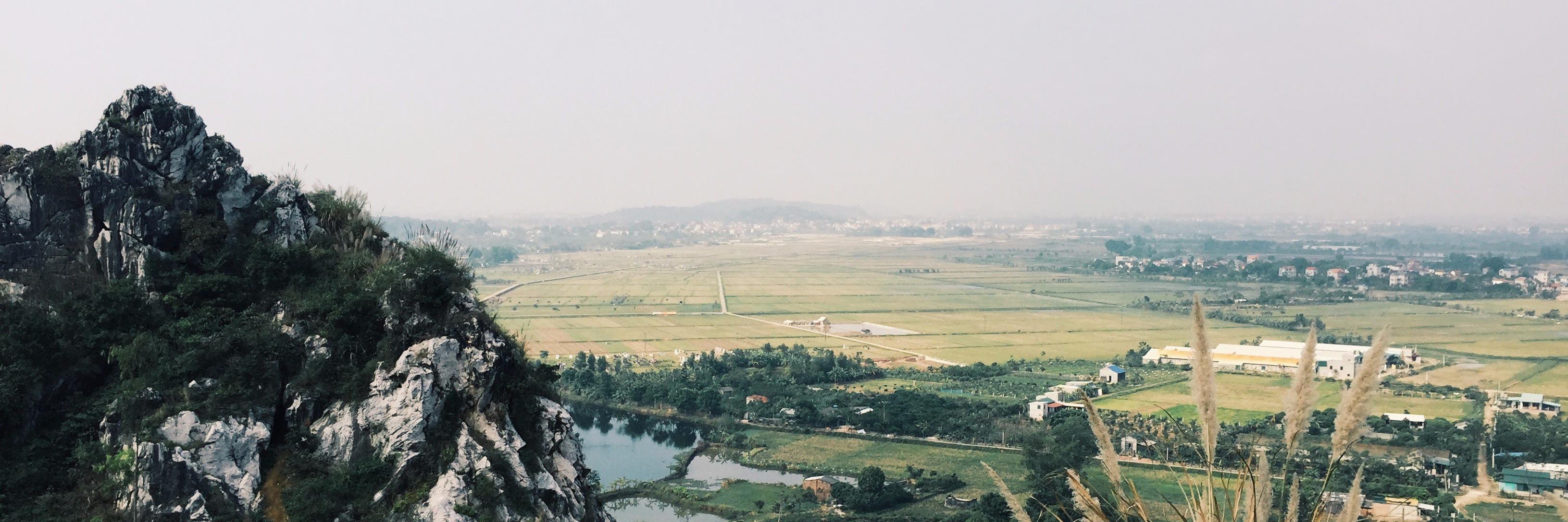 Colin Newcomer banner