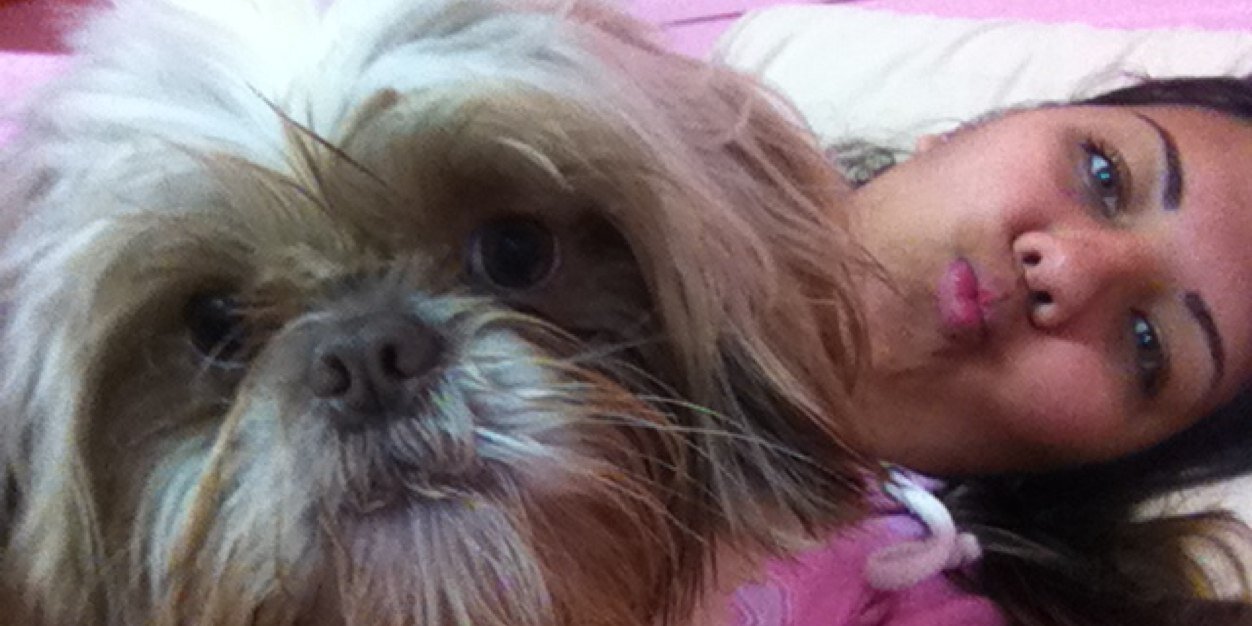 wini_oliveira's profile banner image