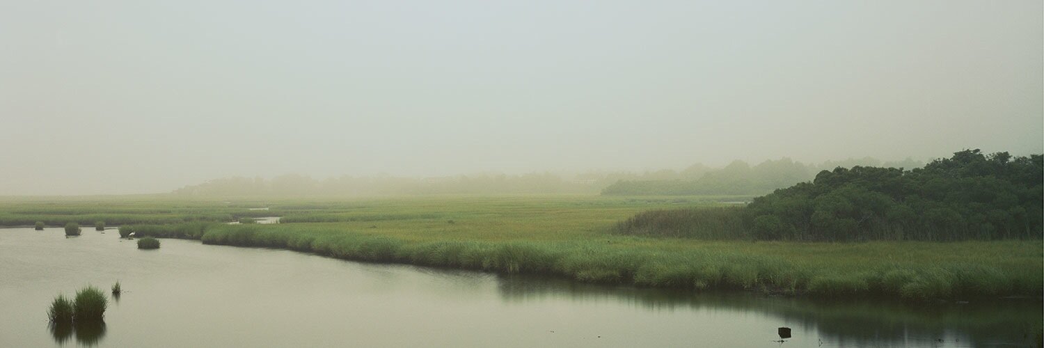 Michael Gaillard banner