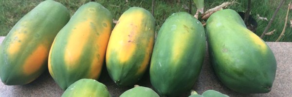 Gxs1967 Profile Banner