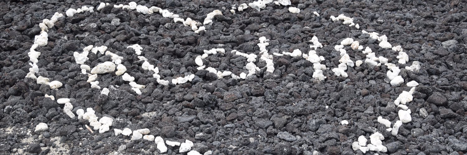 Bad Dad FBA™ banner