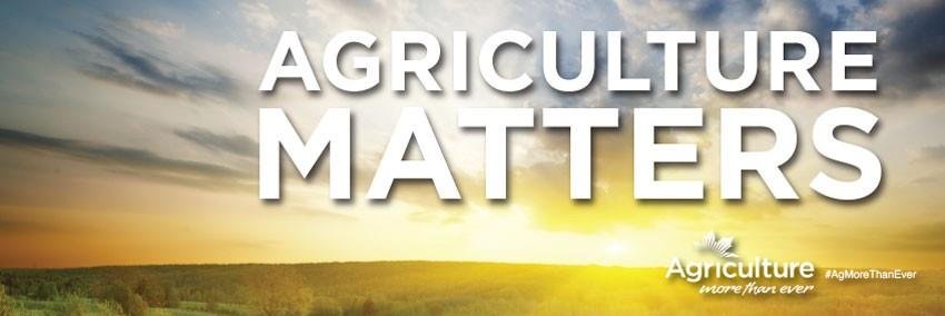 Robyn Gerrard banner