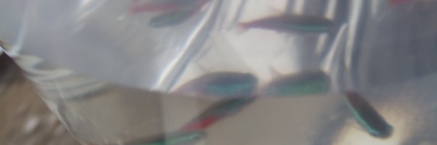 worlds most normal person 𓅃 banner