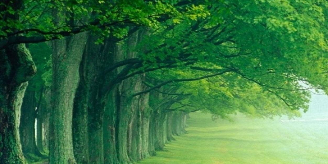 ecopanabaker's profile banner image