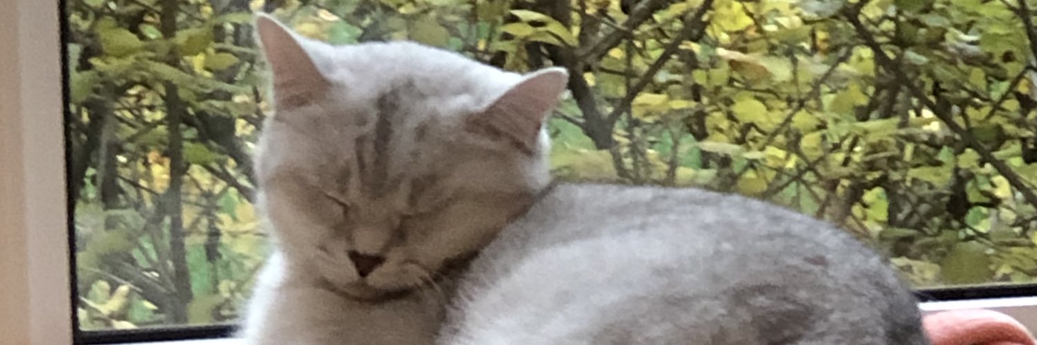 jokingzoo's profile banner image