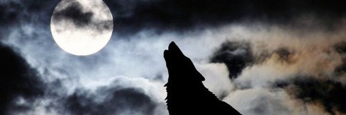 Kincho95's profile banner image