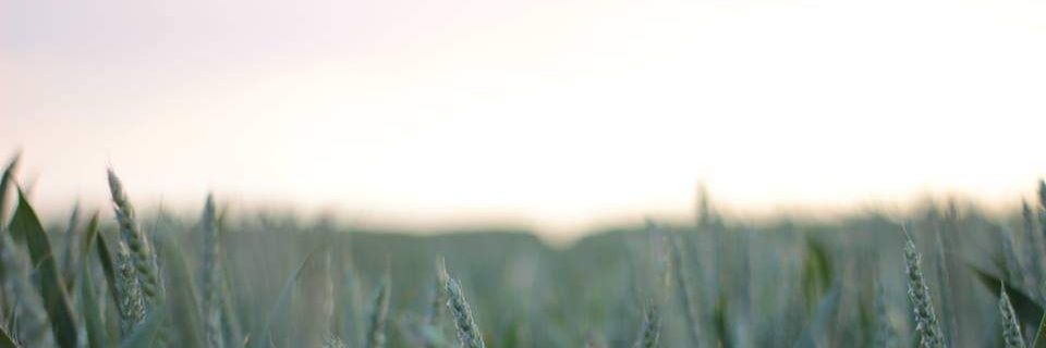 ManuelDemann's profile banner image