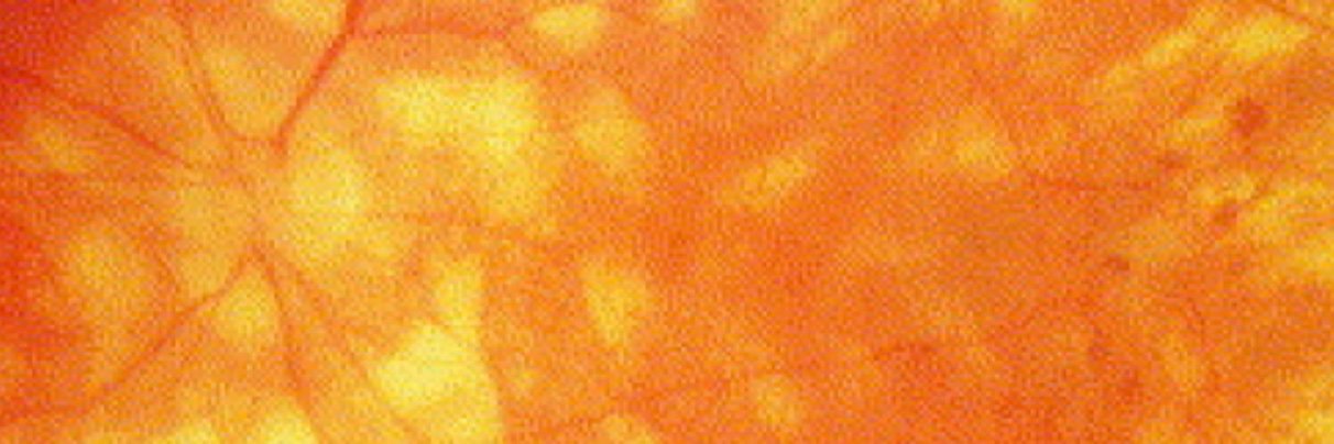 dr michael nelson, optometrist faao banner