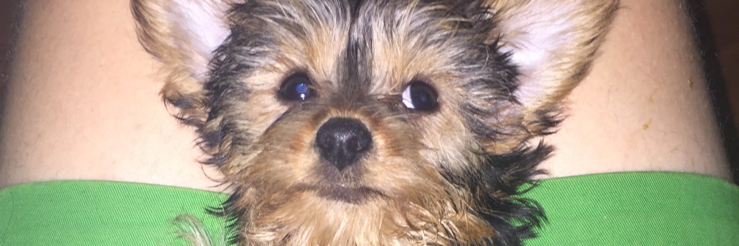 melmuchnik1's profile banner image