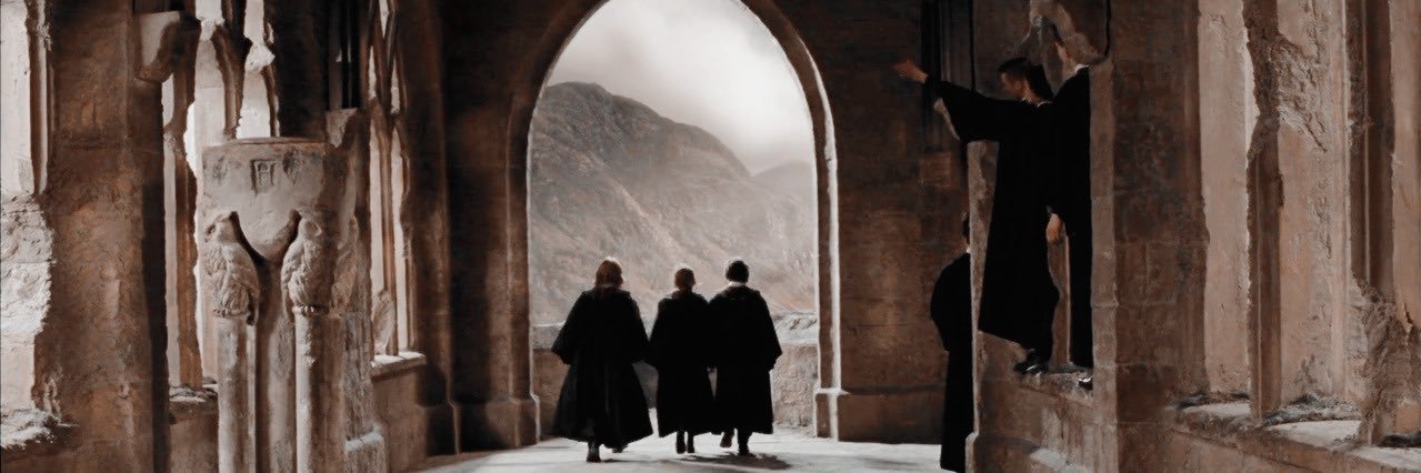 triwizarded's profile banner image