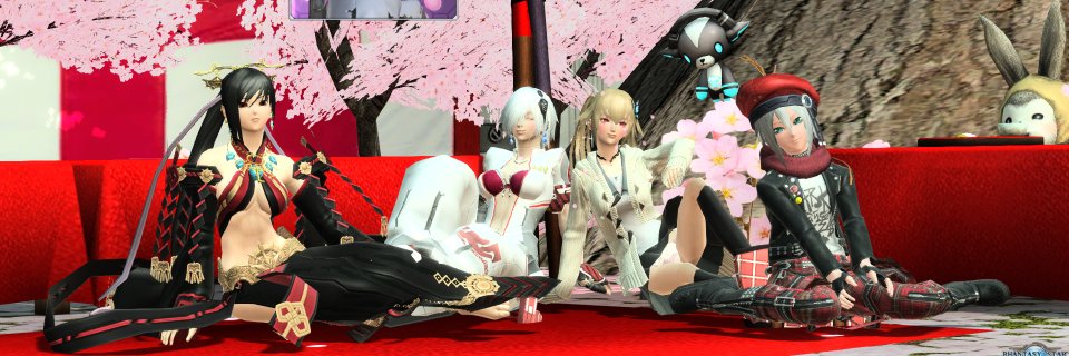 tremoloo's profile banner image