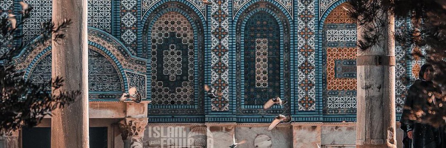 devmokamel's profile banner image