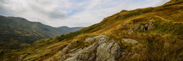 dom_ule Profile Banner