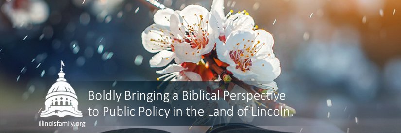 IL Family Institute banner