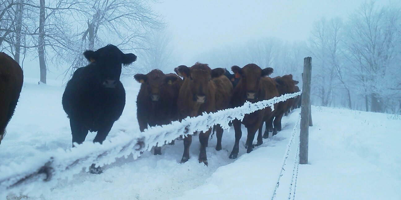 Nathan Nelson banner