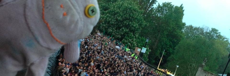 celinethesock's profile banner image