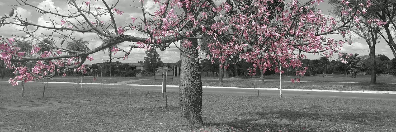 ieltsim's profile banner image