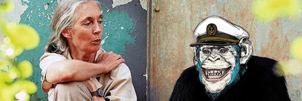 TheDeFiDeviant's profile banner image