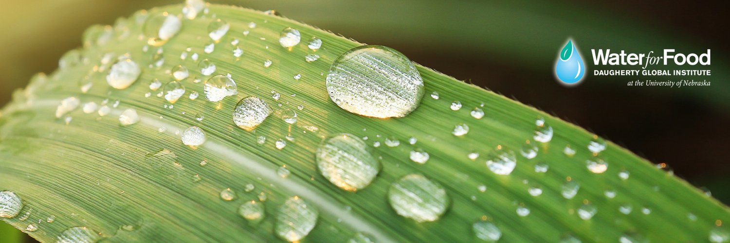 Daugherty Water for Food Global Institute banner