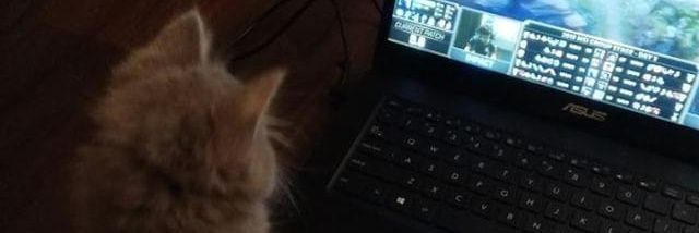 rin 🌼🇵🇸⋆.˚✧ banner