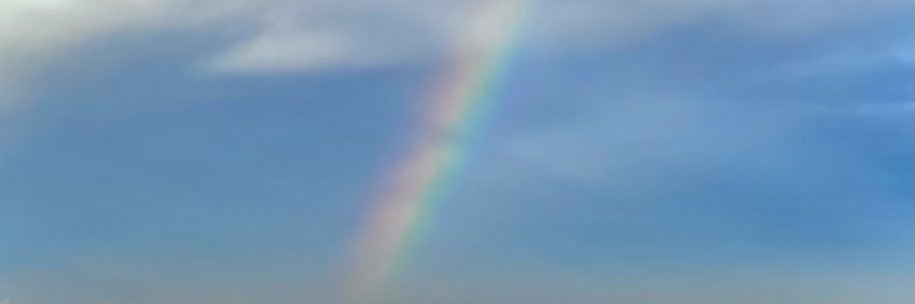 murat dayangac banner