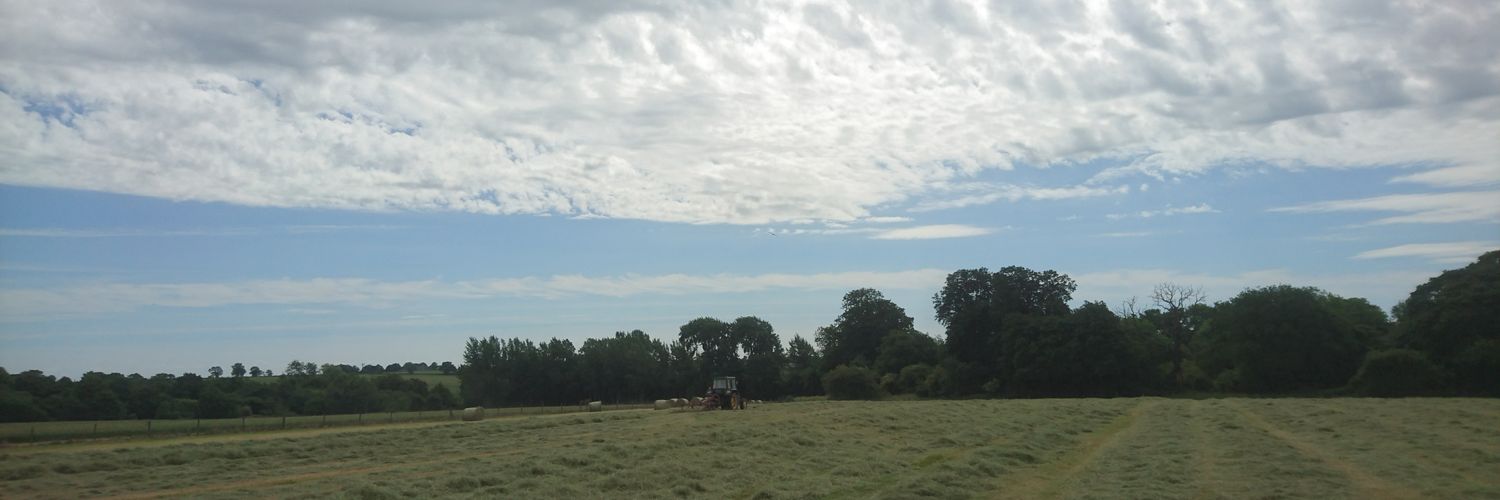 ecodiverse's profile banner image