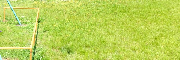 森 一貴 Kazuki MORI banner