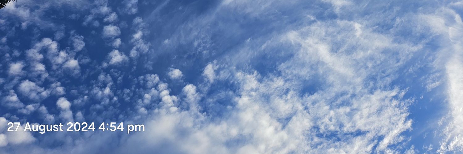 CoNsTaNt TrUtH banner
