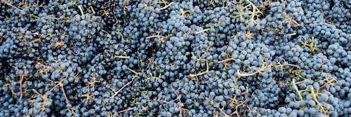 IdeologyCellars's profile banner image