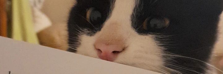 SofiAldrey2's profile banner image
