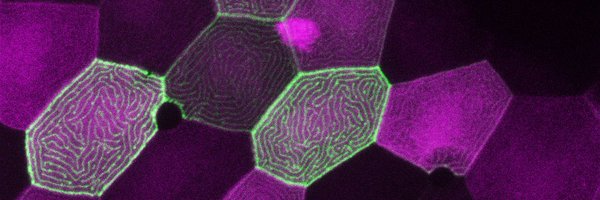 intheOR Profile Banner