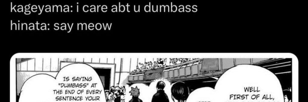 hinata shoyo truther's banner