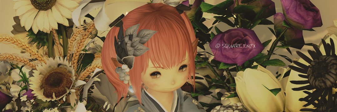 Raspberry_FF14's profile banner image