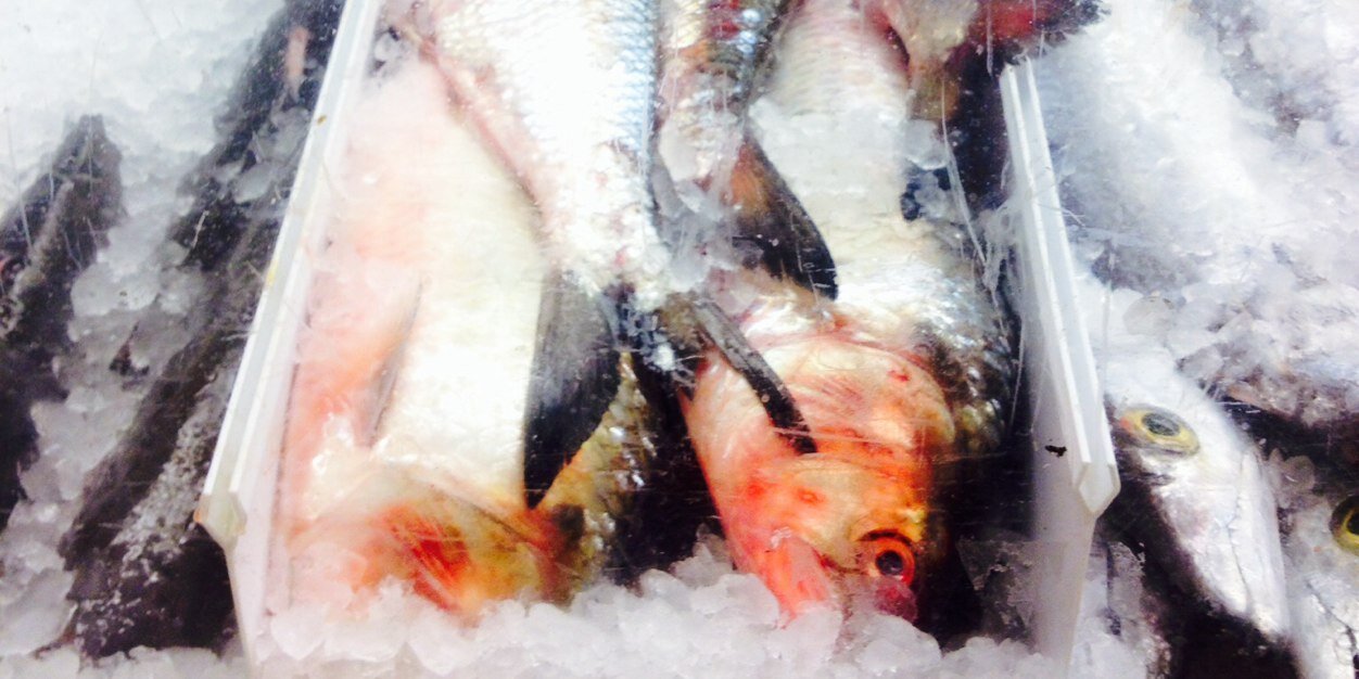 Chef Zachmann banner